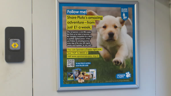 RSPCA train advert showing a happy puppy