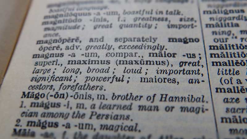 Definition of Latin word 'maior'