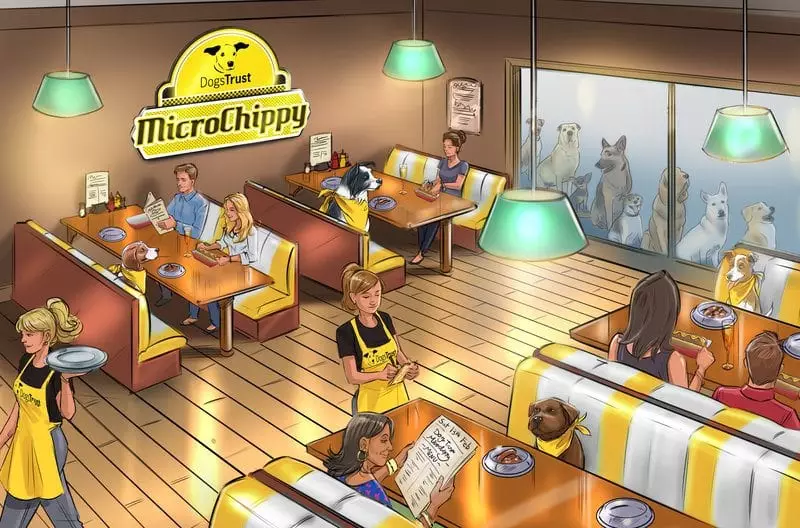 Not such a dog's dinner: MicroChippy's romantic meals for two