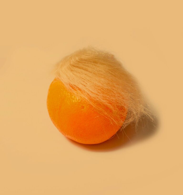 An orange and wig that remind you of President Donald Trump.