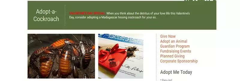 San Francisco Zoo's adopt a cockroach or scorpion for Valentine's Day
