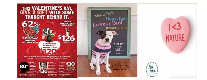 Valentine's Day charity fundraising campaigns