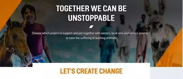 Brooke's mid value donor campaign with GOOD Agency