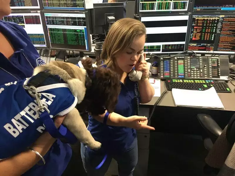 ellie simmonds for Battersea Dogs & Cats Home
