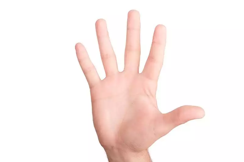 Five fingers - number five. Photo: Shutterstock