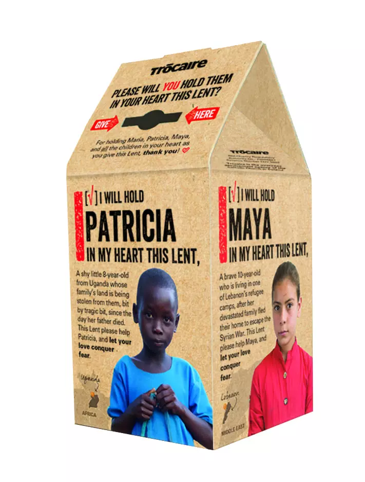 Trocaire's cardboard collecting box for home and office use.
