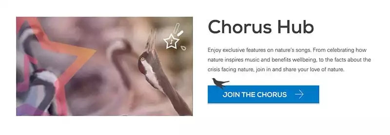RSPB Chorus Hub