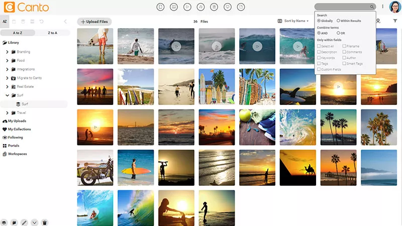 Screenshot of Canto's digital assets rights management tool