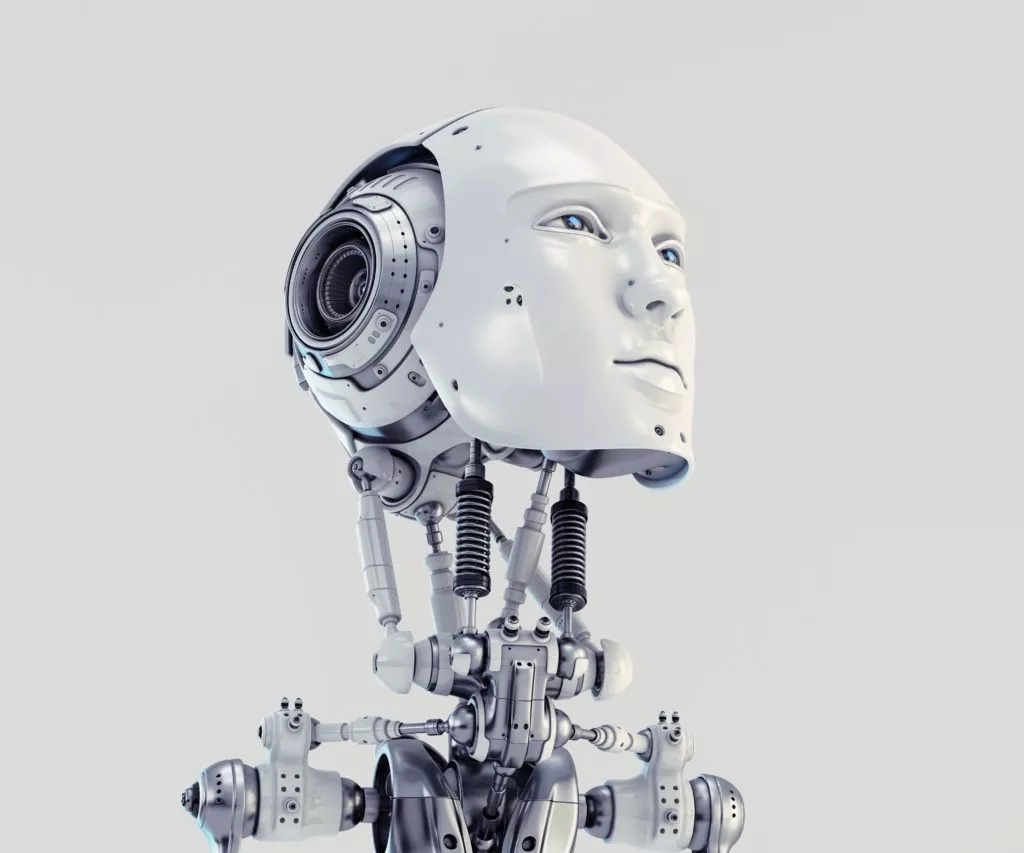 Humanoid head and neck