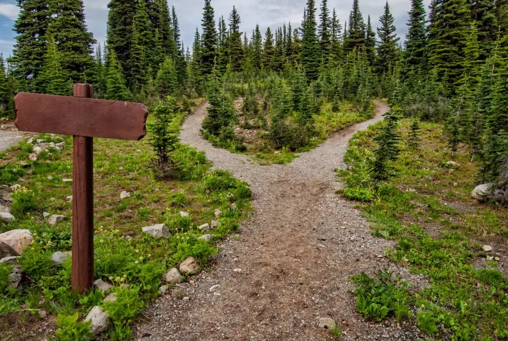 Two paths - split testing - Pexels
