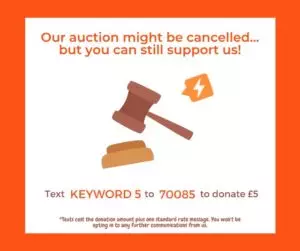 Virtual auction image template from donr.com