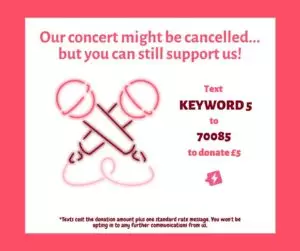Virtual concert image template from donr.com