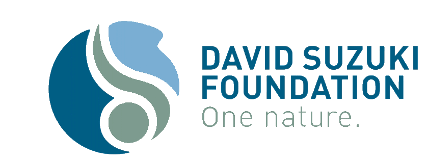 David Suzuki Foundation logo