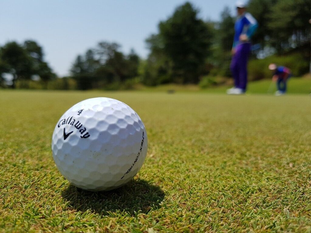 A golf ball in the foreground on grass by 이동원 lee from Pixabay