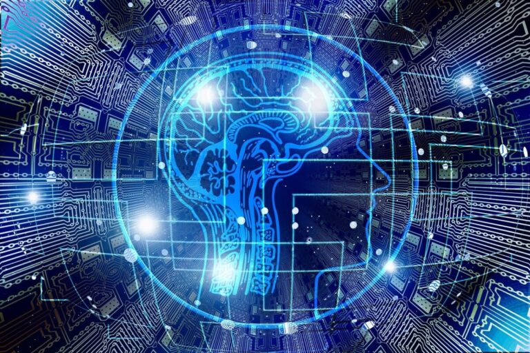 Artificial Intelligence (AI) illustration, with image of a human brain and electronic circuits