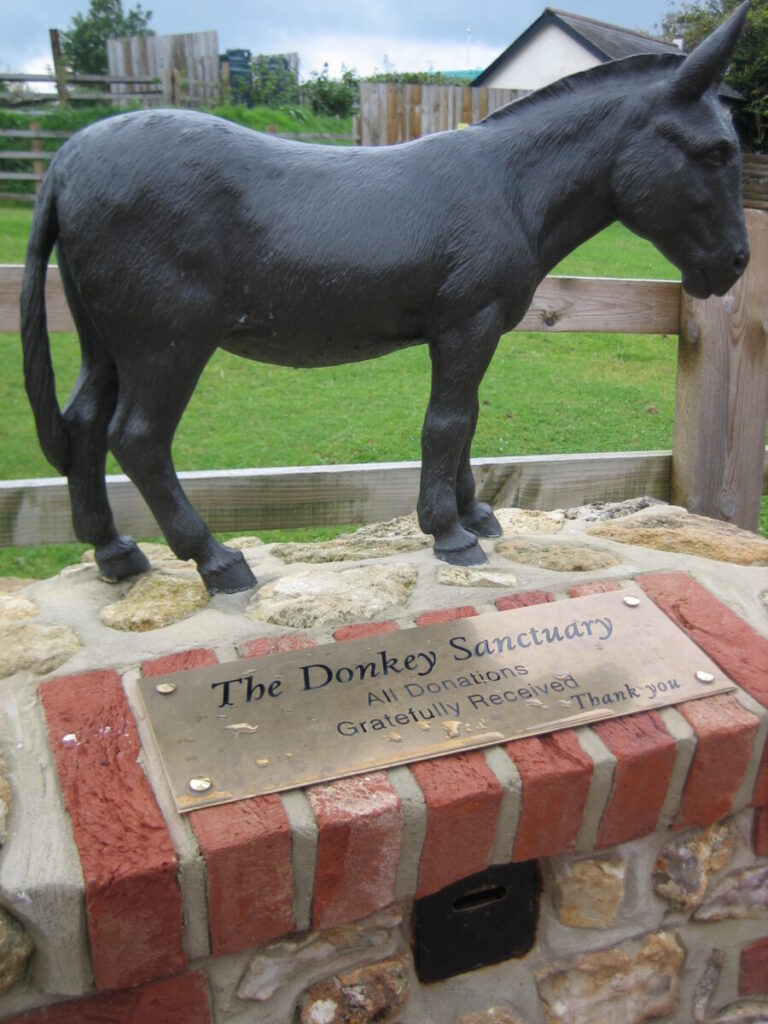 Cash collection box with a model of a donkey on top at The Donkey Sanctuary, Devon. Photo: Howard Lake
