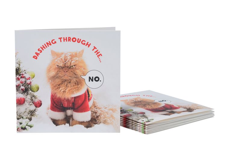 A grumpy cat on a christmas card