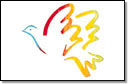 Coloured sketch of a dove - Amnesty International UK Section Charitable Trust Christmas card design. Order on 0171 814 6200.