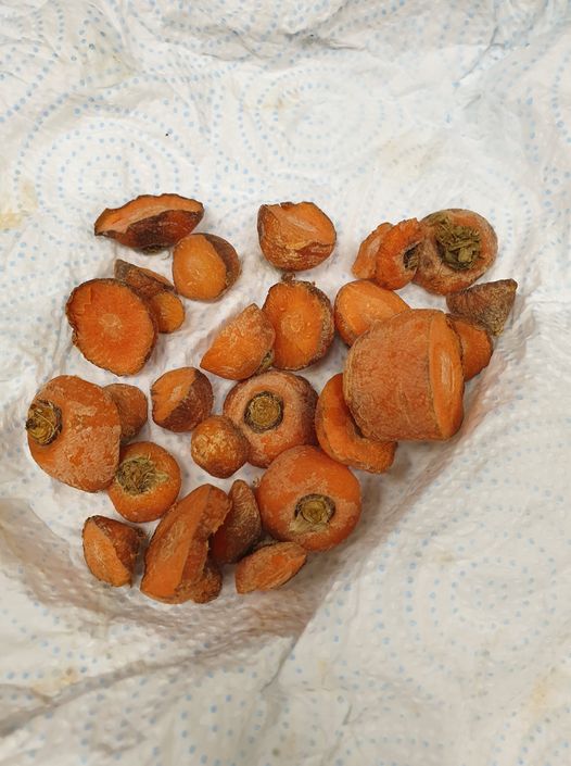 carrot ends in a bag