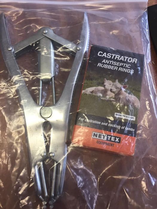 a lamb castrator