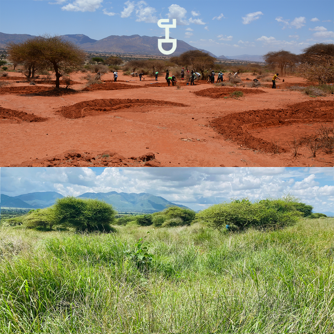 Two photos of JustDiggit bunds before and after, in Pembamoto Dodoma, Tanzania