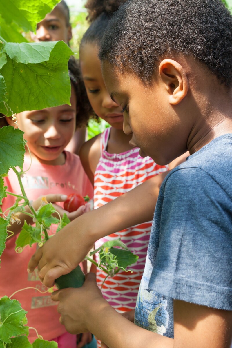 Children at the Albany Summer Garden party, 2018. Photo: City Bridge Trust