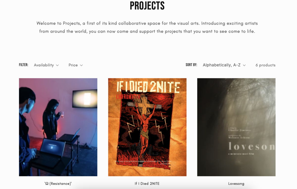 Screenshot of the International Body of Art's new Projects platform which connects funders with emerging artists