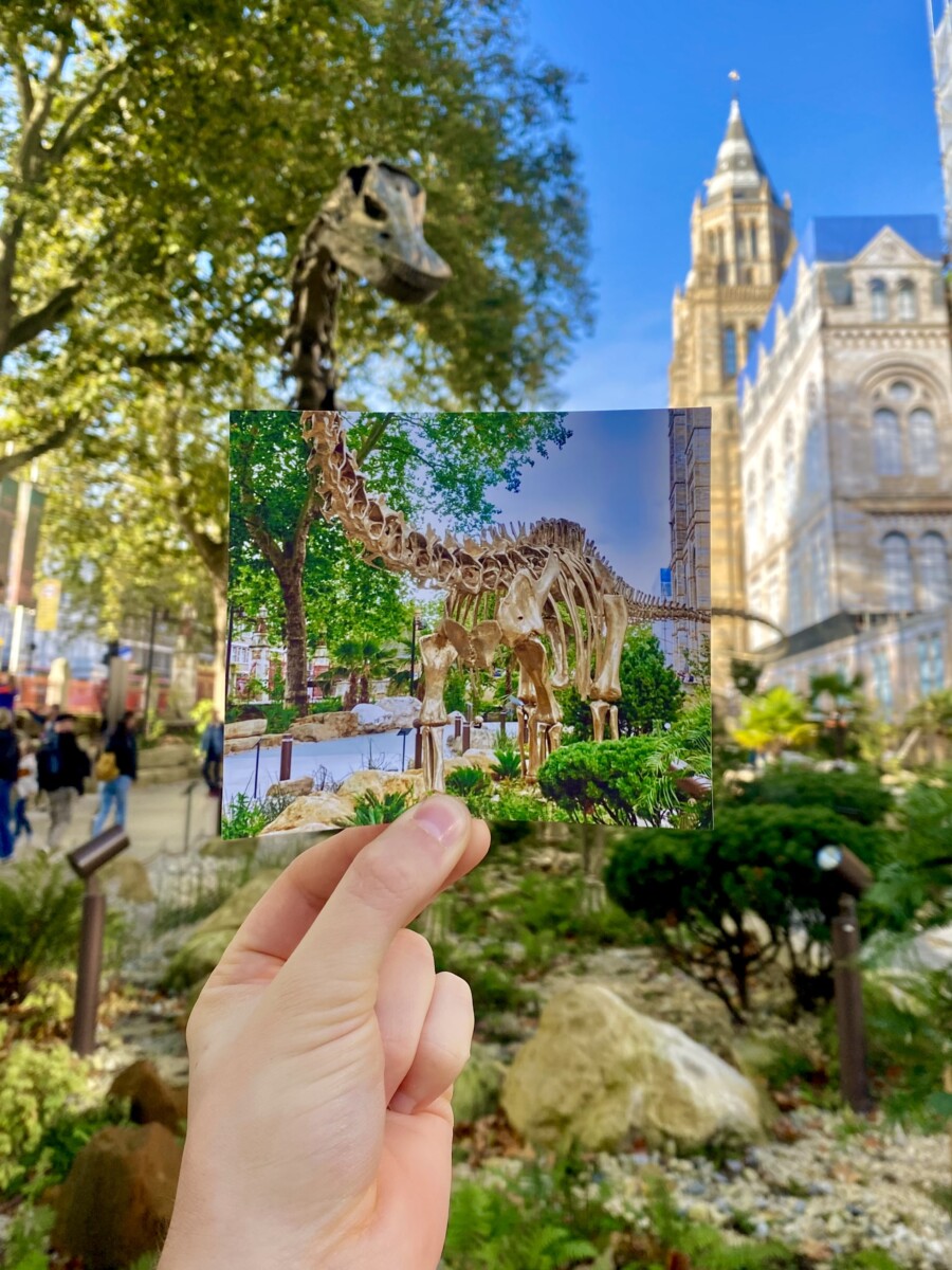 2024: Fern the Diplodocus is unveiled at The Natural History Museum By Thomas Duke