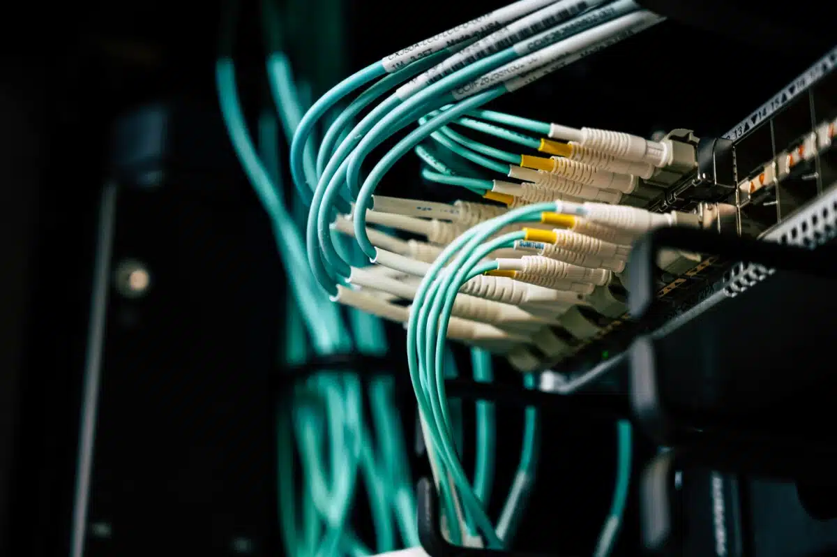 Cables on a web server.