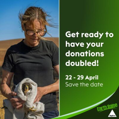 Get ready to have your donations doubled! 22-29 April Save the Date. Earth Raise. Photo of a woman in a t-shirt on a moor holding a bird wrapped protectively in a towel.