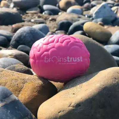 Squashy pink brain product form Brainstrust's online shop. On a background of pebbles on a beach.