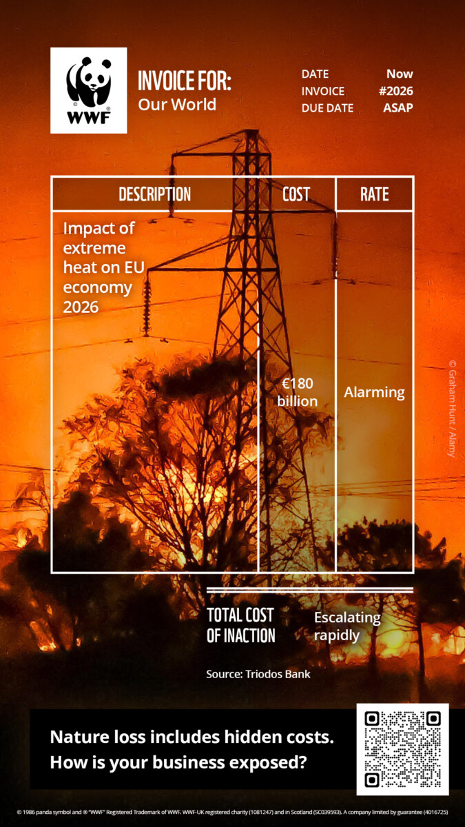WWF UK Nature's invoice, showing electricity pylon in the background.